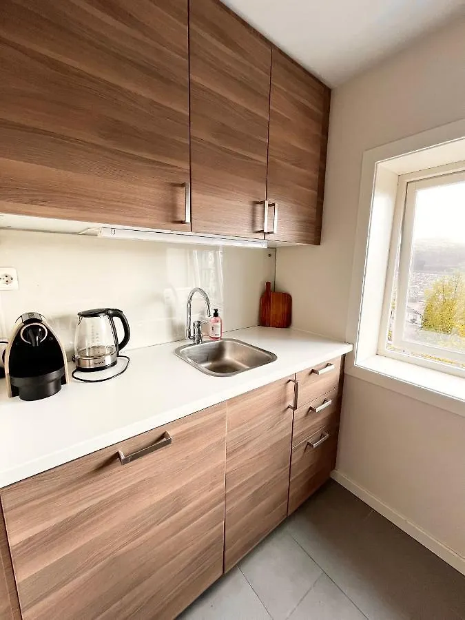 Cozy And Modern Apartment With A Countryside Feeling In Bergen City