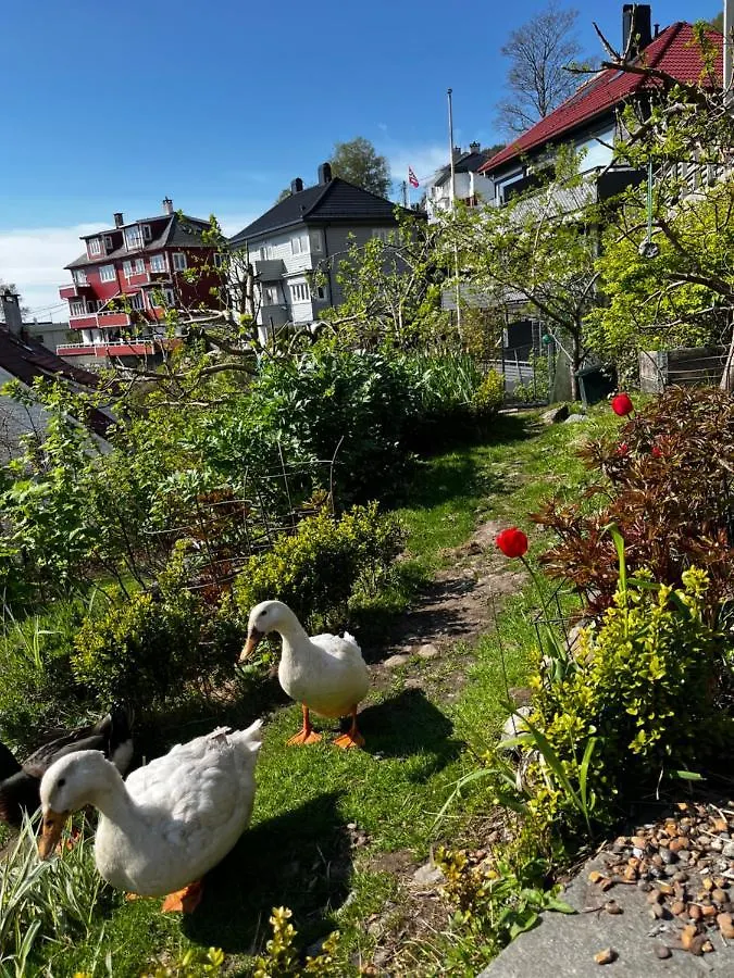 Cozy And Modern Apartment With A Countryside Feeling In Bergen City 0*,  Norvège